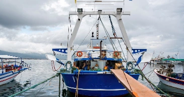 Marine Deck Equipment