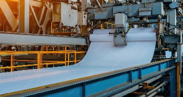 Paper & Pulp